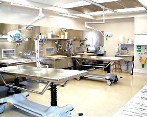 Autopsy suite
