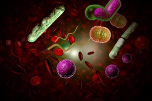 bloodstream infections